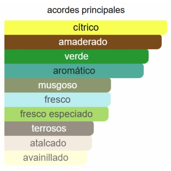 ANDRÉS CROXATTO MAN - CROXATTO