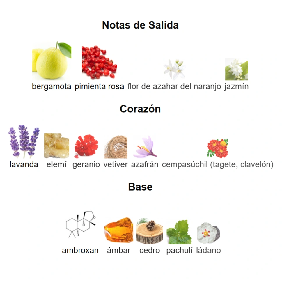 CLUB DE NUIT URBAN MAN ELIXIR - SAUVAGE DUPE - Imagen 4