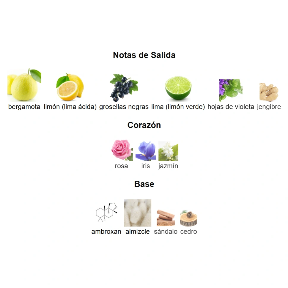 CLUB DE NUIT SILLAGE - SILVER MOUNTAIN WATER DUPE - Imagen 4