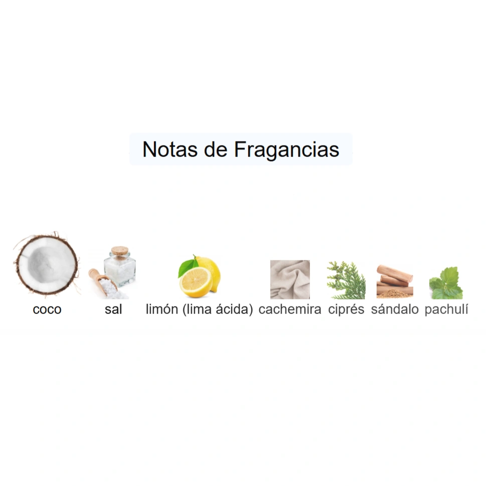 BOSS BOTTLED PACIFIC - Imagen 4