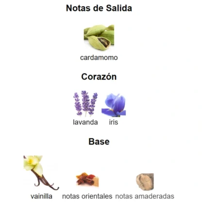 LE MALE LE PARFUM - Imagen 4