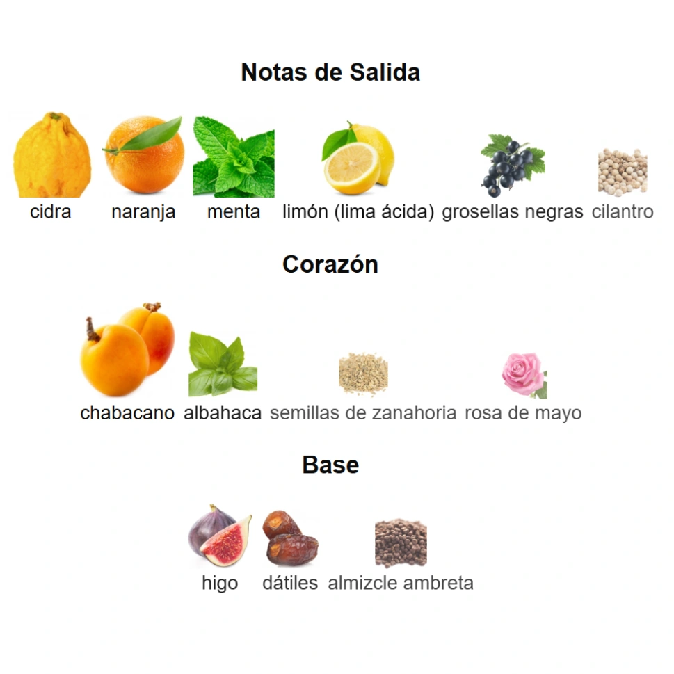 PACIFIC CHILL - Imagen 4