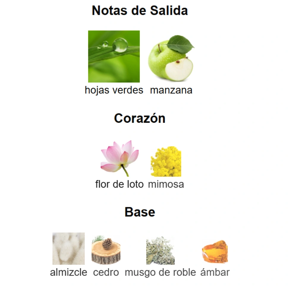 NAUTICA VOYAGE - Imagen 4