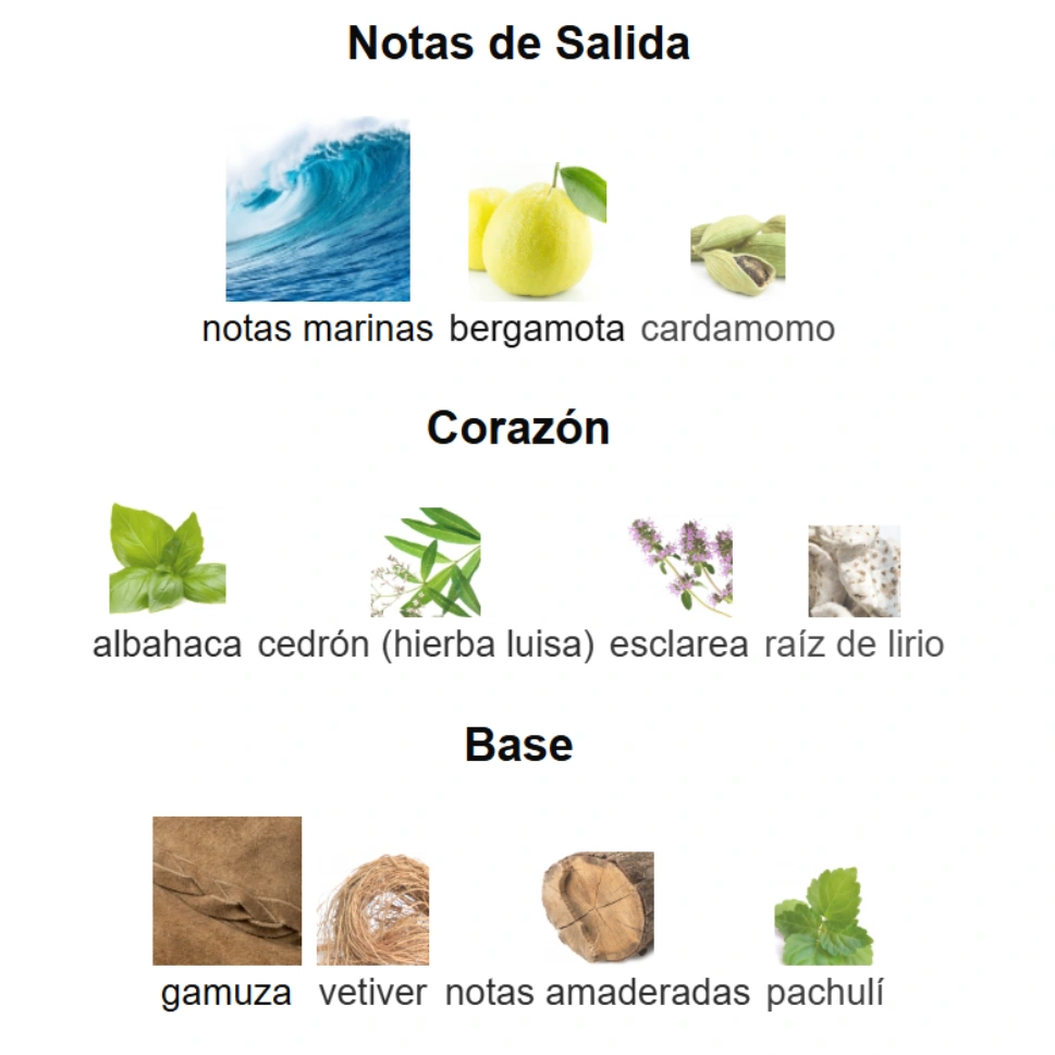 POLO BLUE EDP - Imagen 4