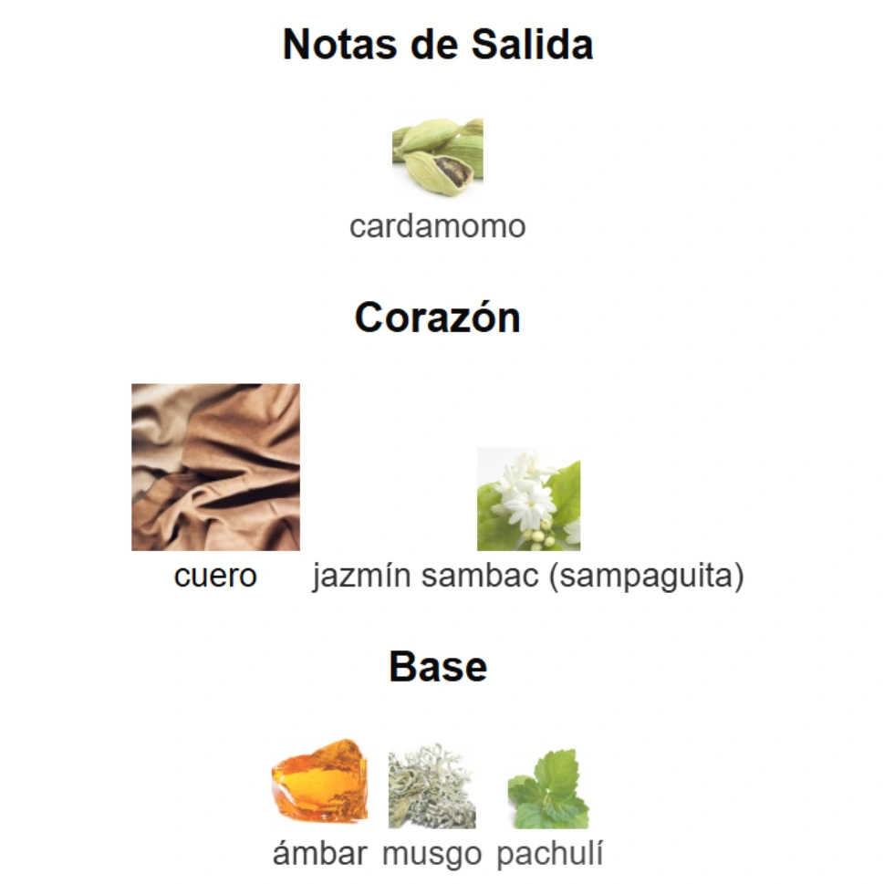 TOM FORD OMBRÉ LEATHER - Imagen 4