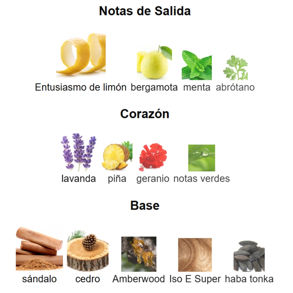 BLEU DE CHANEL PARFUM - Imagen 4