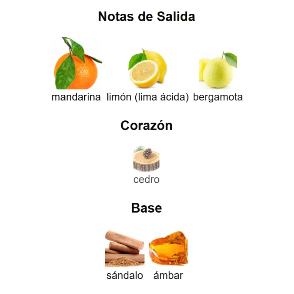 PISA - AFTERNOON SWIM DUPE - Imagen 4