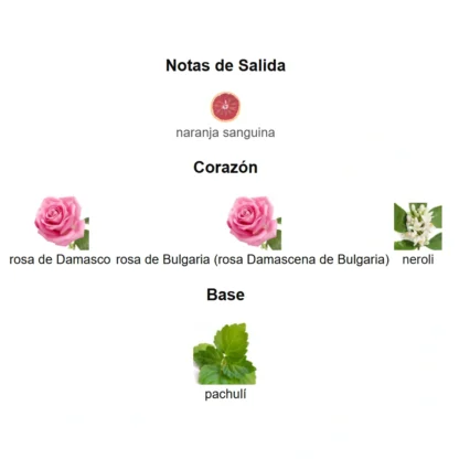 MISS DIOR EDT - Imagen 4