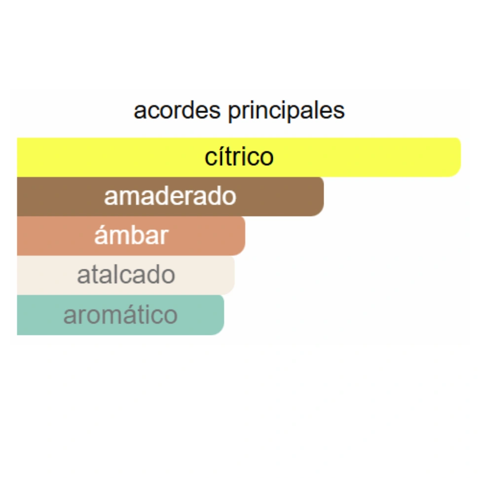 PISA - AFTERNOON SWIM DUPE - Imagen 3