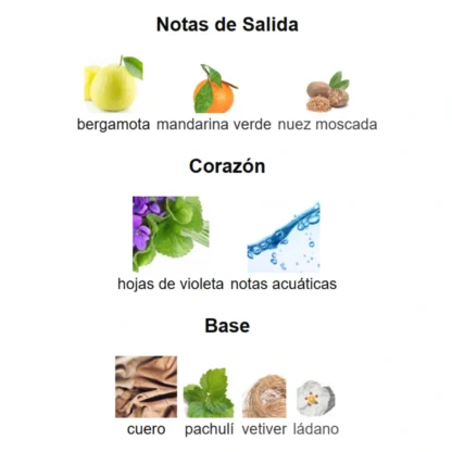 ACQUA DI GIO ELIXIR - Imagen 4