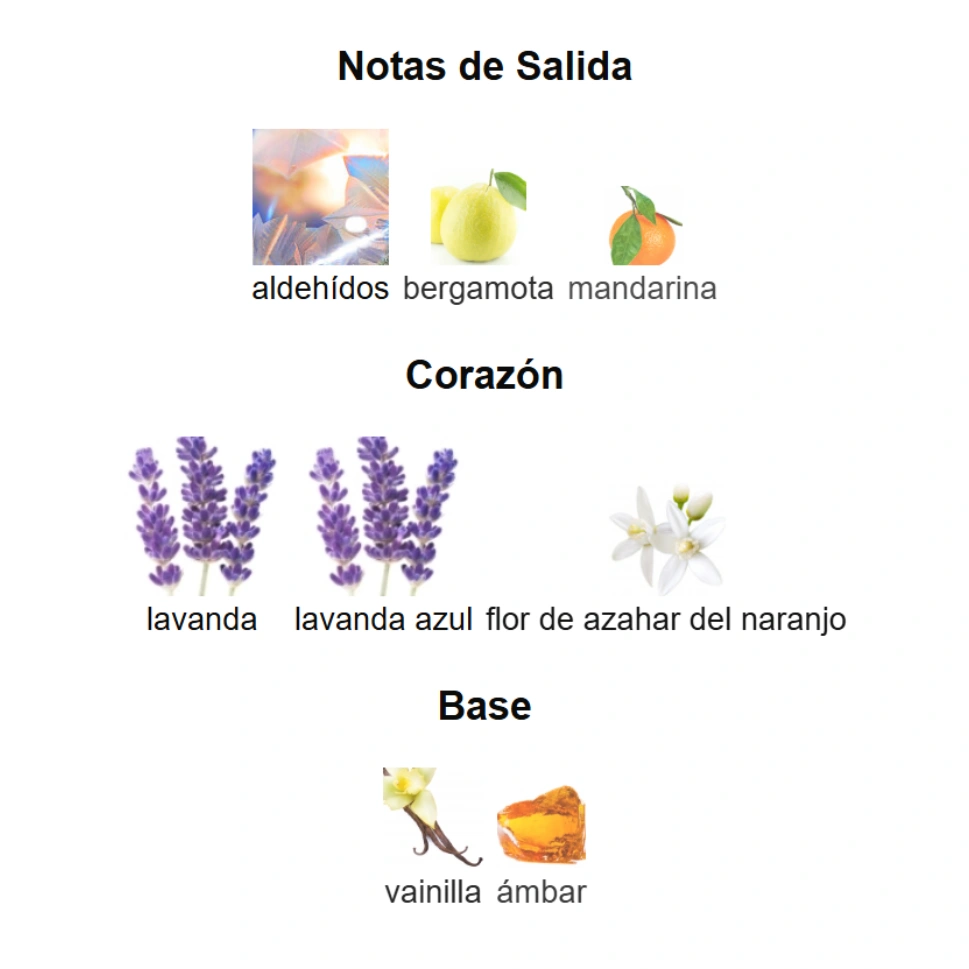 LIBRE L'ABSOLU PLATINE - Imagen 4