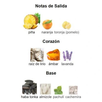 HAWAS MALIBU - JPG LE BEAU LE PARFUM DUPE - Imagen 4