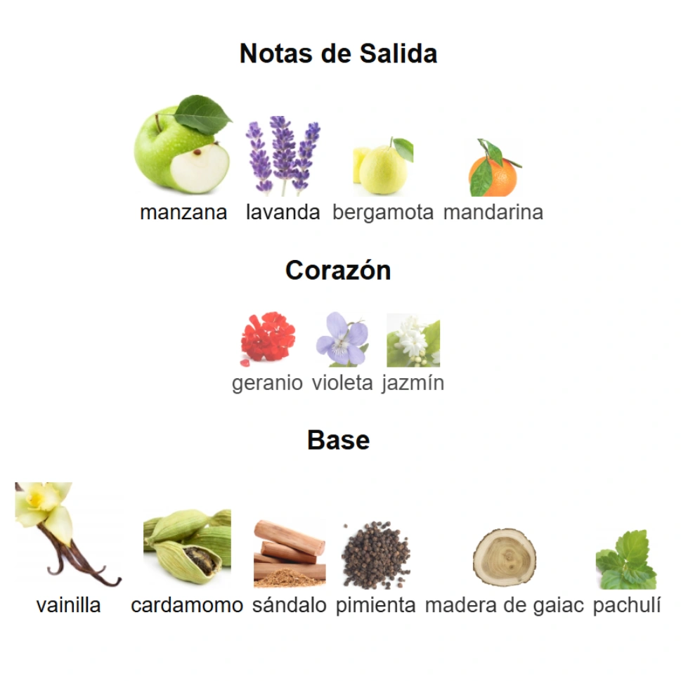 LAYTON COMPLETO 200ml - Imagen 4