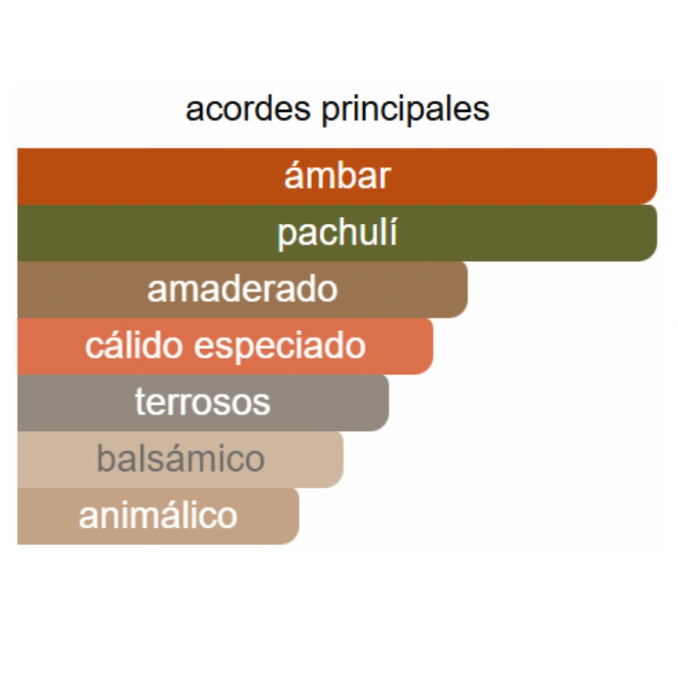 HAWAS VERDE - TORINO 21 DUPE - Imagen 3