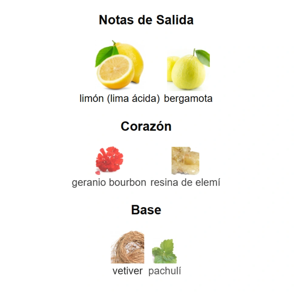 BOSS BOTTLED BOLD CITRUS - Imagen 4