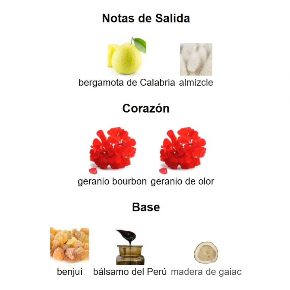 PRADA PARADIGME - Imagen 4