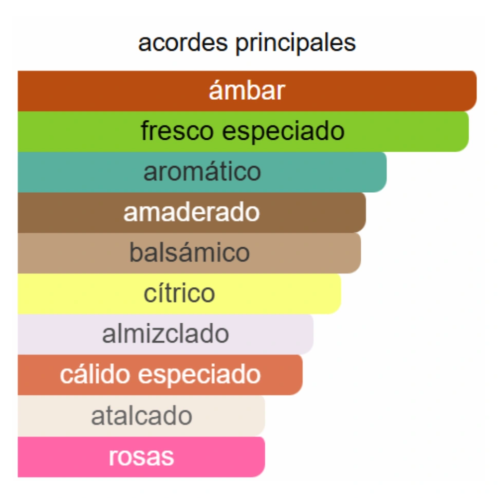 PRADA PARADIGME - Imagen 3