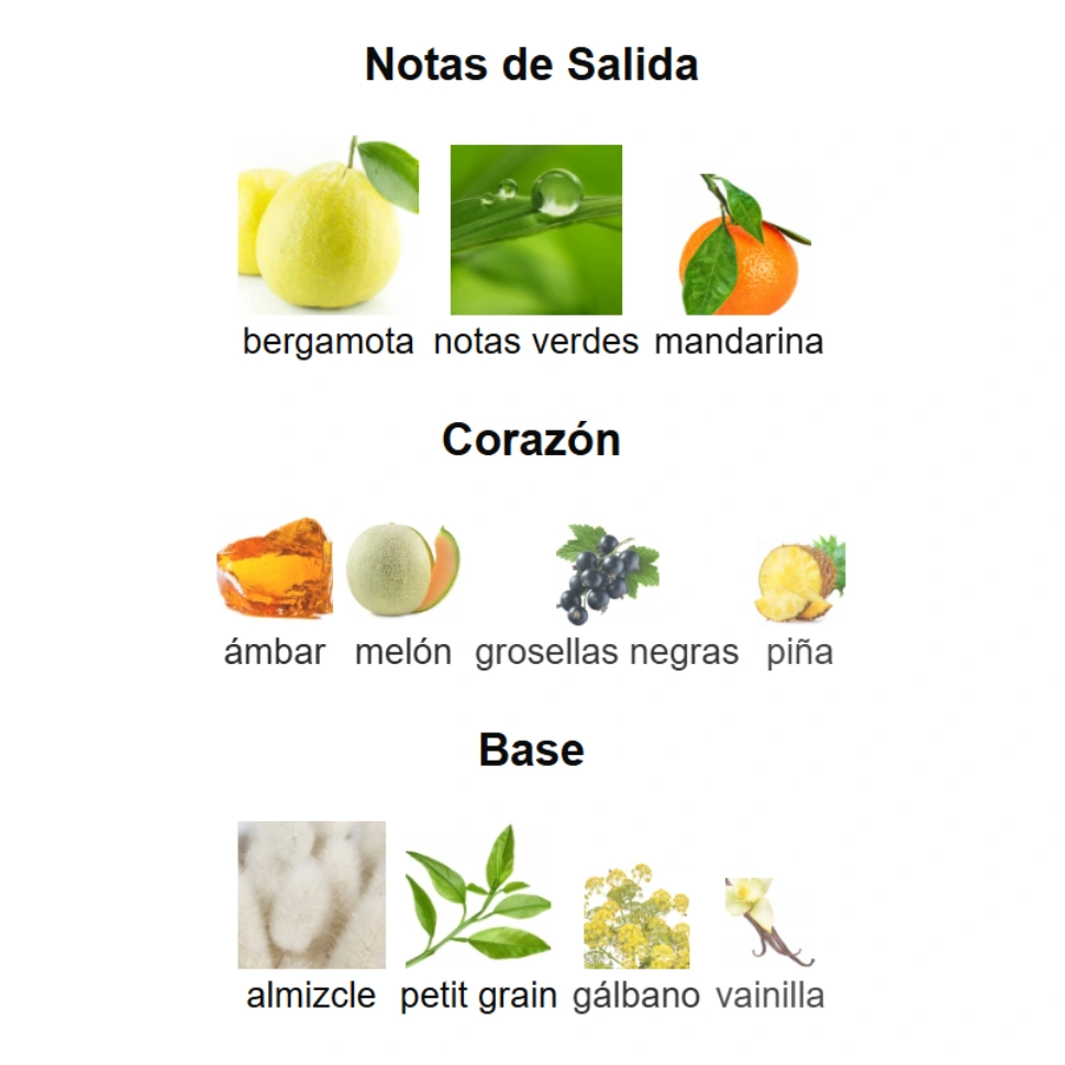 AMBER OUD AQUA DUBAI - IMAGINATION DUPE - Imagen 4