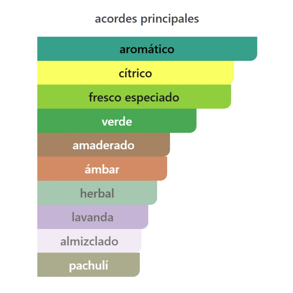 ODYSSEY AQUA - INVICTUS PLATINUM DUPE - Imagen 3