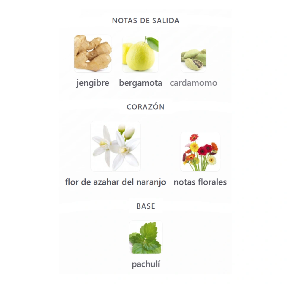 MYSLF L'ABSOLU - Imagen 4