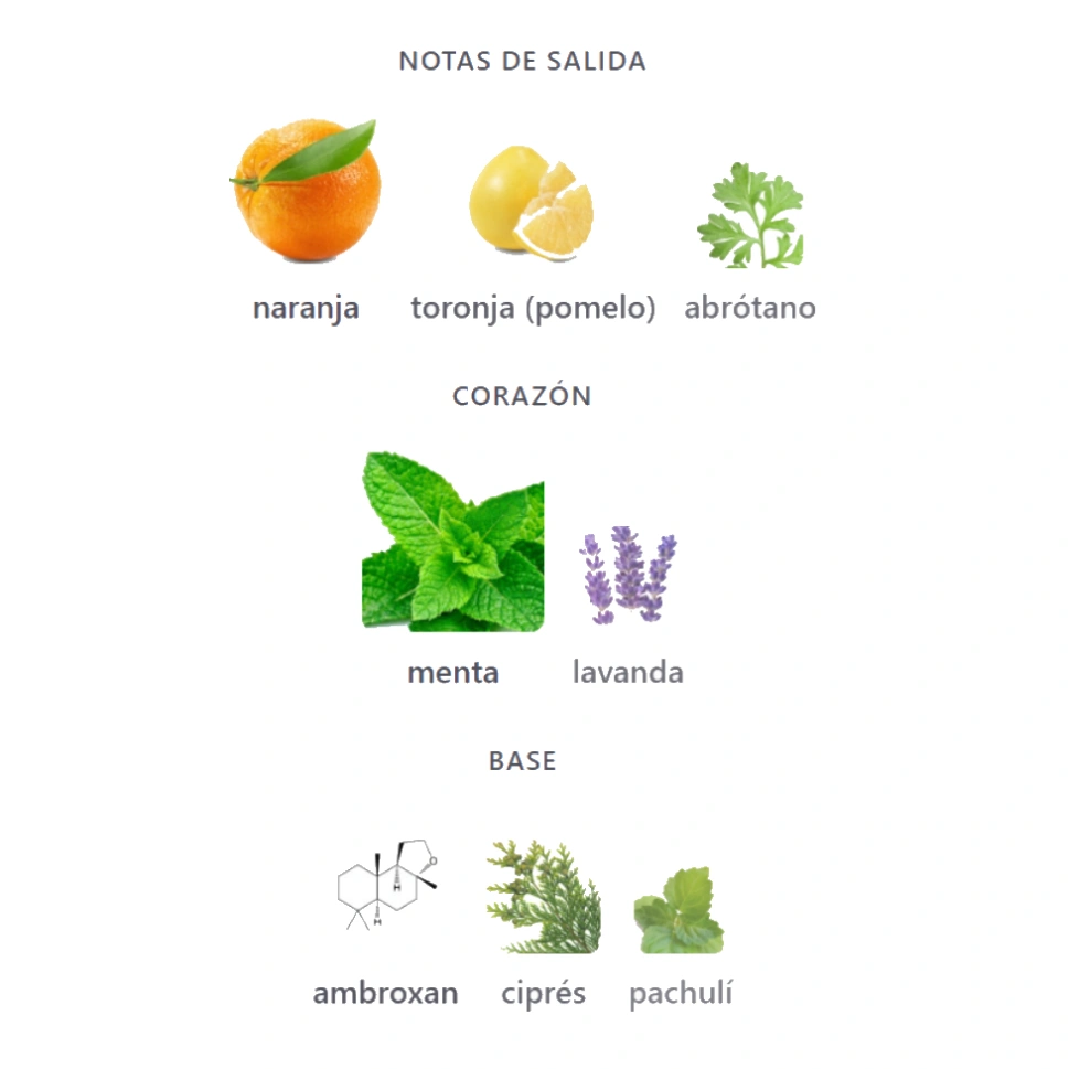 ODYSSEY AQUA - INVICTUS PLATINUM DUPE - Imagen 4