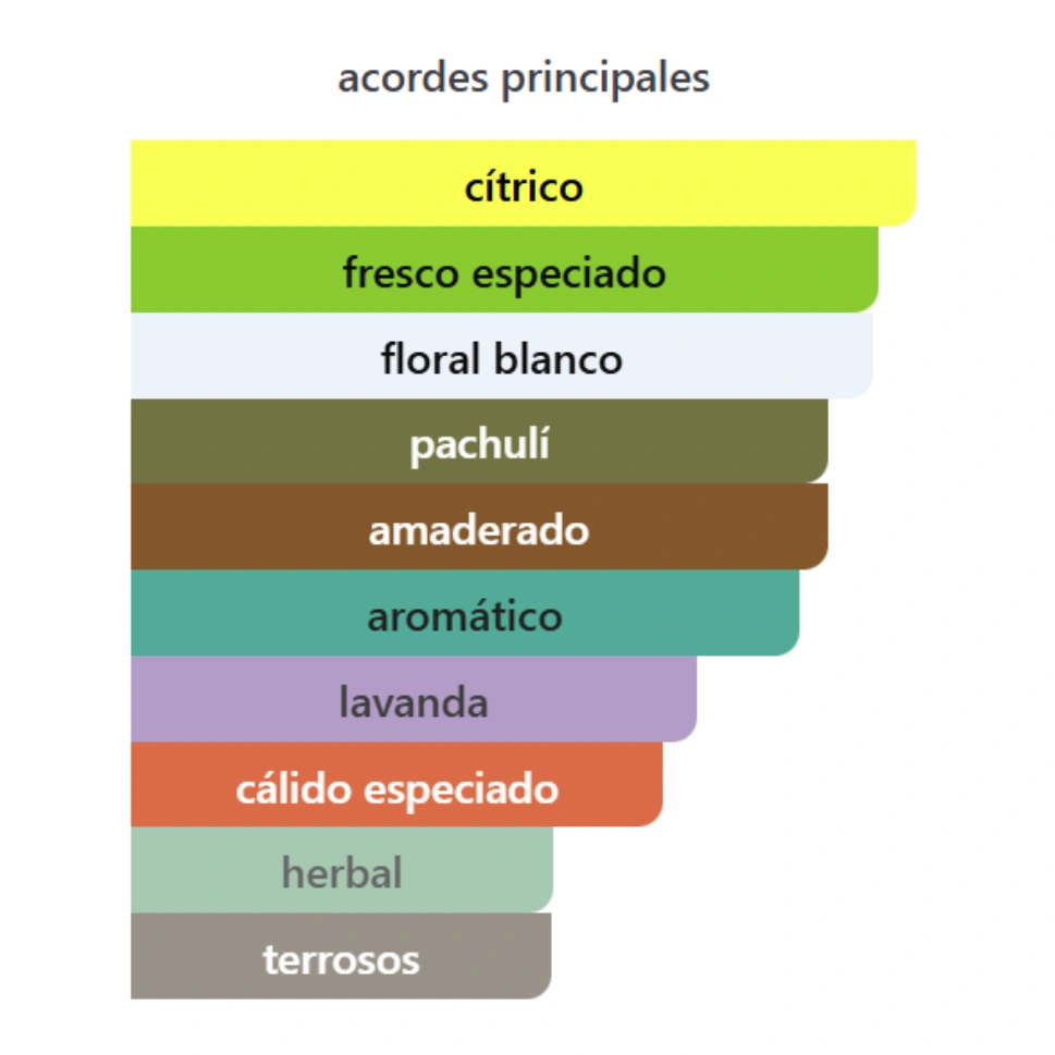 DUBAI NIGHTS MIDNIGHT - MYSLF EDP DUPE - Imagen 3