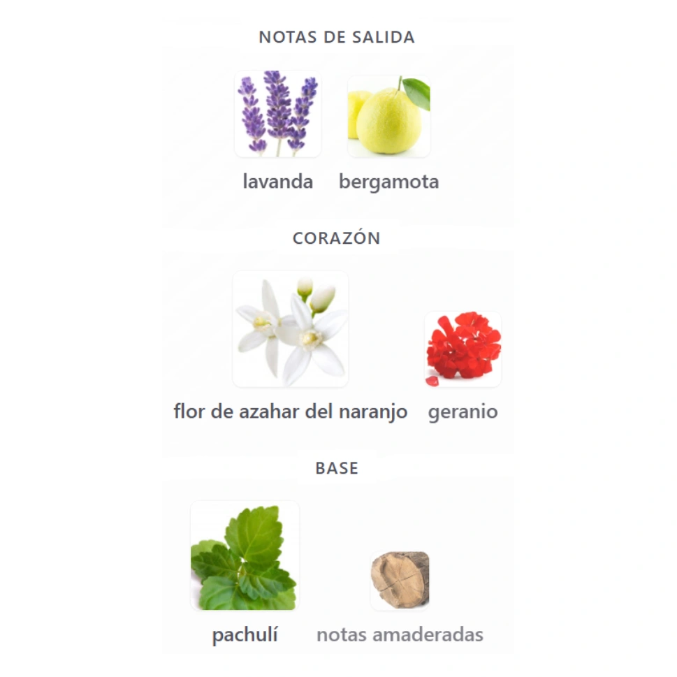 DUBAI NIGHTS MIDNIGHT - MYSLF EDP DUPE - Imagen 4