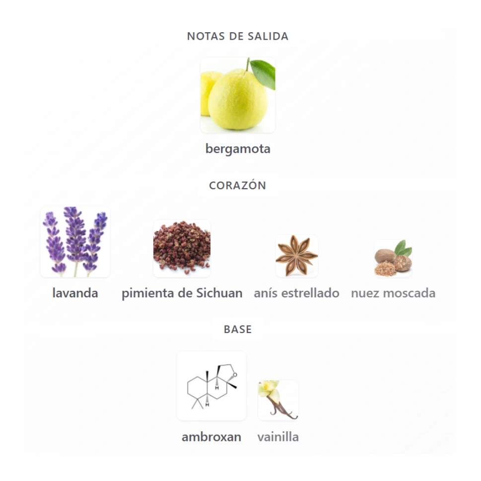 SALVO EDP - SAUVAGE EDP DUPE - Imagen 4