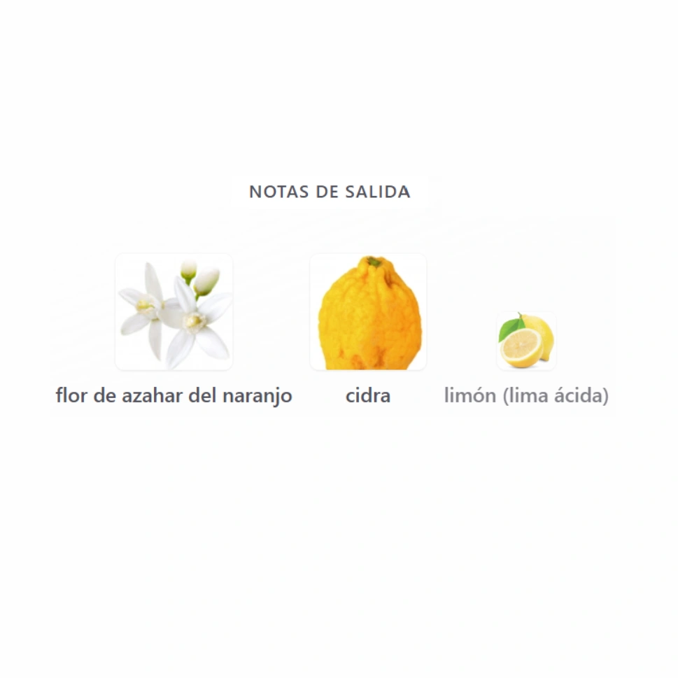 THE SUN SINGS - SUN SONG DUPE - Imagen 4